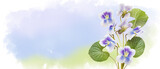Blooming blue flowers on watercolor sky. Photo collage. Sping purple pansy blossom flowers flying on background of drawn landscape. Spring concept horizontal banner with copy space. Place for a text