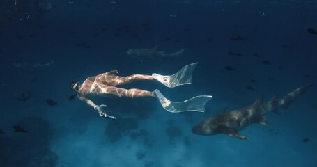 Wall Mural - Woman on holidays swims with the sharks and tropical fish in blue sea on Maldive atoll