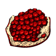 Sticker - red pomegranate hand drawn. fresh cut, seed food, juice table red pomegranate vector sketch. isolated color illustration