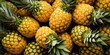 Freshly cut pineapples arranged tightly, showcasing the bright yellow fruit and spiky green tops