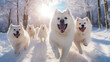 Group of cheerful dogs running through the winter snow on a frosty sunny day. 