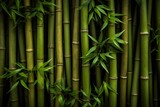 Fototapeta Sypialnia - bamboo background 