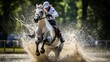 Sports Olympic games horse riding background
