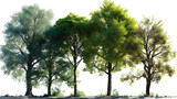 Fototapeta Las - Collections tropics green trees shapes set cutout transparent backgrounds 3d rendering png