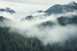 Fototapeta Na ścianę - Misty Mountains and Forests