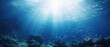 Underwater seascape with sunlight piercing through. Marine life and exploration.
