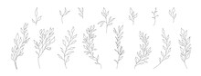 Hand Drawn Wild Field Flora, Flowers, Leaves, Herbs, Plants, Branches. Minimal Floral Botanical Line Art. Vector Illustration For Logo Or Tattoo, Invitations, Save The Date Card.	