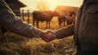 Close up of handshake of two farmers against the background with grazing brown cows