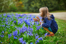Adorable Preschooler Girl Enjoying Nice Spring Day In Park During Hyacinth Blooming Season