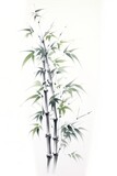 Fototapeta Sypialnia - Black and white bamboo painting