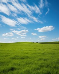 Canvas Print - green rolling hills under blue sky and white clouds