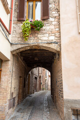 Canvas Print - Cobblestone Pedestrian Alley in Spello - Italy