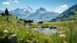 Two cows standing in a lush green field with mountains in the distance