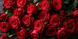 Fototapeta Kwiaty - Bouquet of beautiful red roses as background, closeup view
