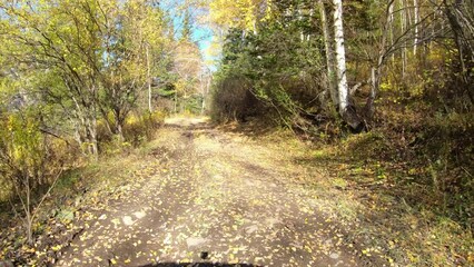 Wall Mural - Video of driving along muddy mountain road along Altai river Kumir in Autumn.