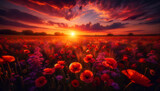 Fototapeta Niebo - Romantic sunset over a poppy field. The image should convey the beauty of a field of poppies in the warm light of sunset.