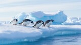 Fototapeta Zwierzęta - A group of penguins sliding on a glacier 