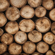 randomly pattern wood log