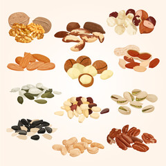 nuts seeds flat set with isolated images piles with various nuts blank background vector illustration