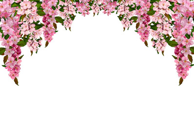 Wall Mural - Spring flower arrangement Festive frame border of pink apple tree flowers isolated on white background. Design element for creating postcard, wedding cards and invitation. Overlay background.