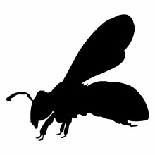 Black Bee Or Insect Silhouette