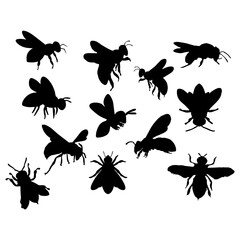 Wall Mural - black bee or insect silhouette