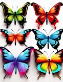 Fototapeta Motyle -  Colorful, Butterfly, in High Resolution,