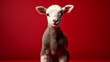 Portrait of a lamb standing against red background
