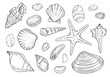 Seashell Vector Set. Outline illustration of starfish and rocks. Hand drawn nautical clipart bundle. Black line art of summer decoration. Linear drawing on isolated white background. Scallop sketch