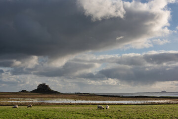 Wall Mural - Stunning dramatic landscape image of Lindisfarne, Holy Island in Northumberland England during Winter
