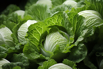 Poster - Cabbage - Layered green and white abstract swirls.