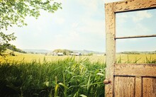 Old Peeling Door With Rural Landscape