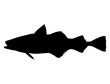 Alaska Pollock Fish silhouette vector art white background