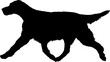  English Setter. Dog silhouette breeds dog breeds dog monogram logo dog face vector