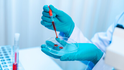 Wall Mural - Asian people scientist in lab coat and protective gloves working with test tubes with green and red liquids, with microscope and other test tubes in the background in laboratory.