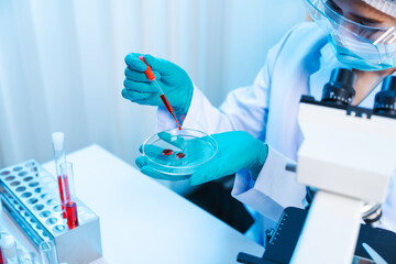 Wall Mural - Asian people scientist in lab coat and protective gloves working with test tubes with green and red liquids, with microscope and other test tubes in the background in laboratory.