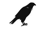 Fototapeta Młodzieżowe - A Hawk Bird Black Silhouette Vector isolated on a white background
