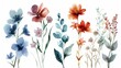 Beautiful vector card with watercolor flowers. Hand-drawn illustration. Generative AI