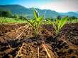Efficient agriculture techniques enrich soil, ensuring long-term productivity with minimal environmental impact; farm 00113 stands out.