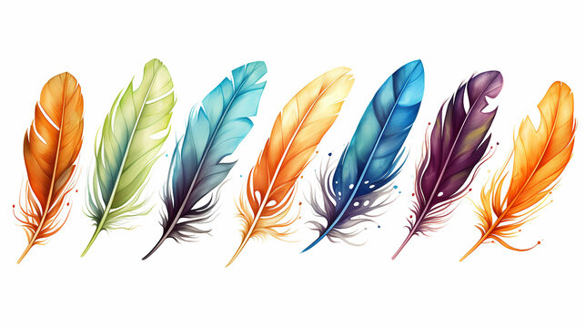 colorful feathers illustration on white isolated background