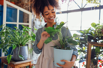 Wall Mural - Young Afro American woman plant lover taking care of houseplant