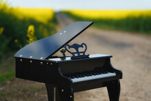 A Piano Standing On A Dirt Road Surrounded By Blooming Rapeseed Fields.