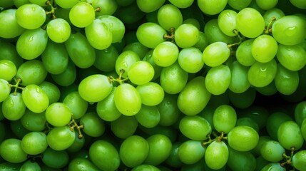 Wall Mural - green grapes close up