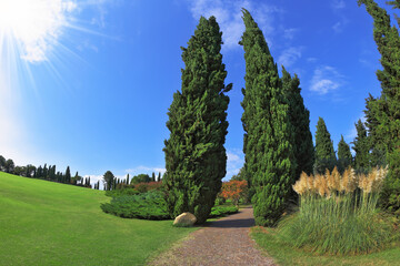 Canvas Print - Comfortable walking path. Photo taken fisheye lens