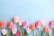 delicate pastel multicolor tulips on a blue flat background.spring. women's day. place for text