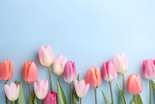 Delicate Pastel Multicolor Tulips On A Blue Flat Background.spring. Women's Day. Place For Text