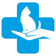 Illustration for veterinary clinics.Cat with a human hand with a medical cross on a white background.