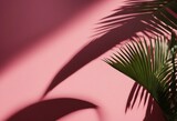 Fototapeta Mapy - Blurred shadow from palm leaves on the pink wall Minimal abstract background for product presentation