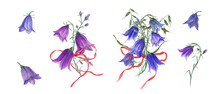 Bouquets Of Blue Lilac Campanula, Wild Oats With Red Bows. Wild Bells Flowers, Harebells, Ribbon. Flower Heads, Buds. Watercolor Illustration Of Meadow Plants. For Wedding Invitation, Birthday Cards