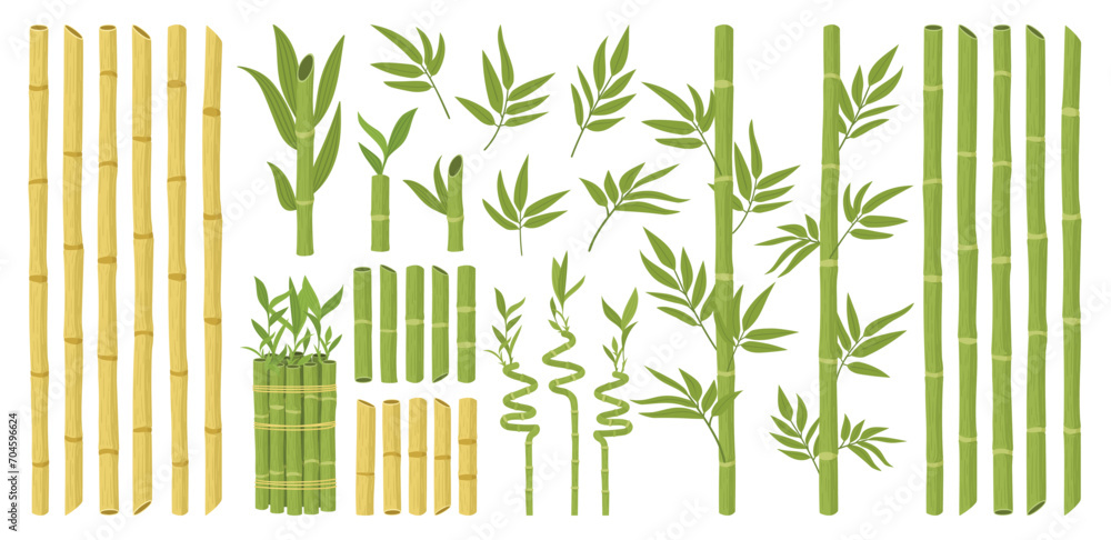 Cartoon bamboo. Asian forest plant with branches and leaves, green ...